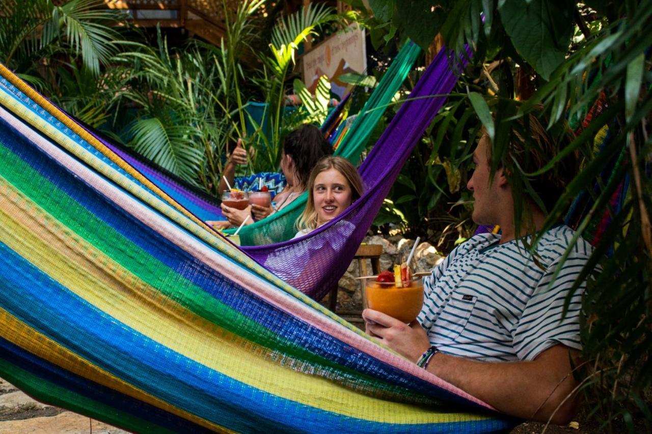 Los Amigos Hostel Flores Exteriör bild